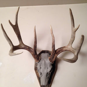 Meet your Posher, Sean